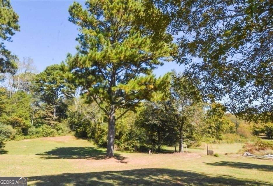 4579 Dogwood Valley Road Tunnel Hill - Photo 35