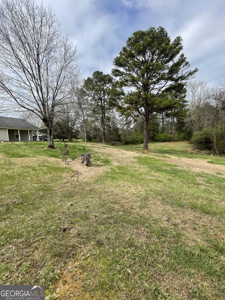 4579 Dogwood Valley Road Tunnel Hill - Photo 38