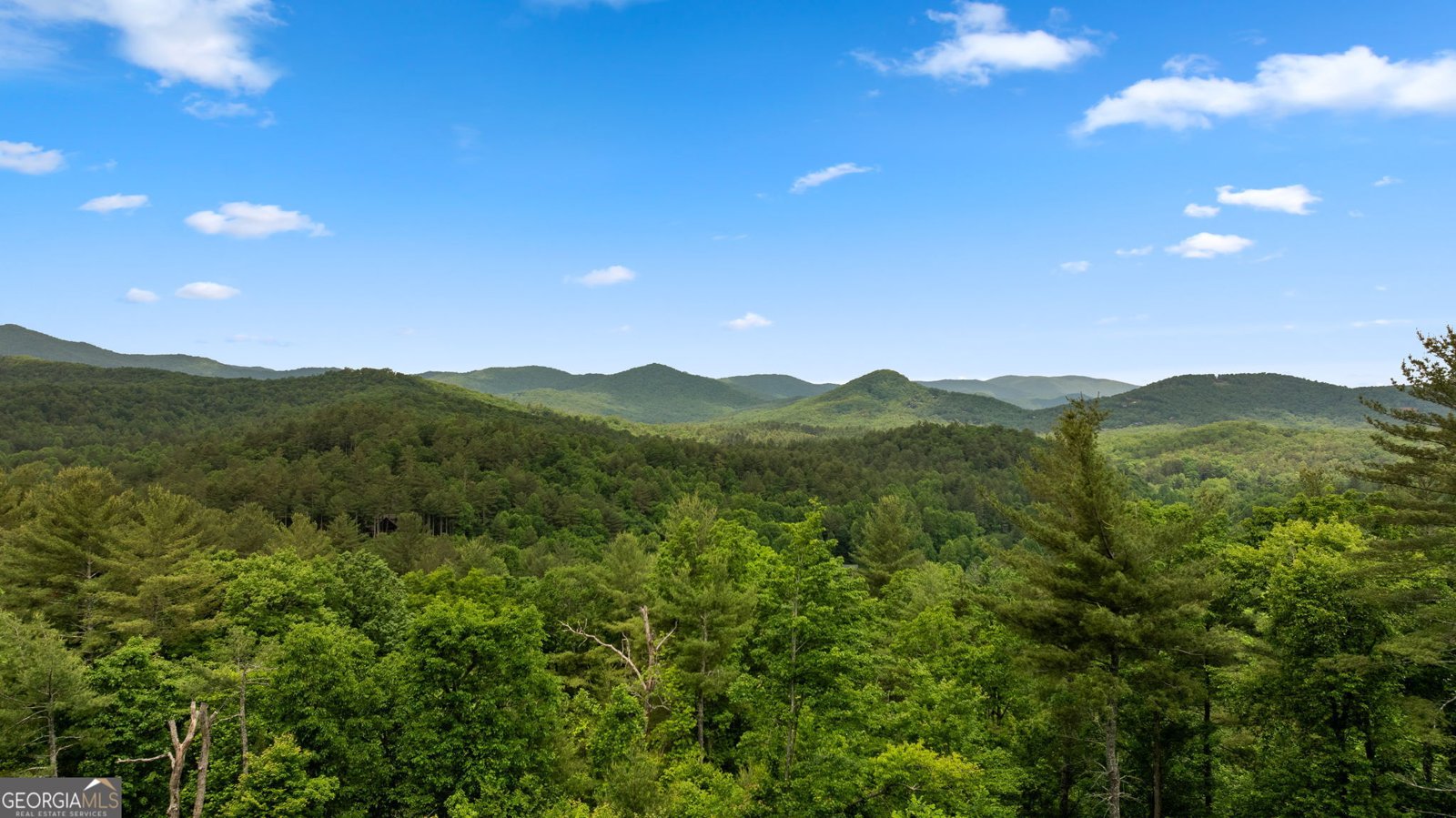 9 Quail Hollow Lane Ellijay - 56