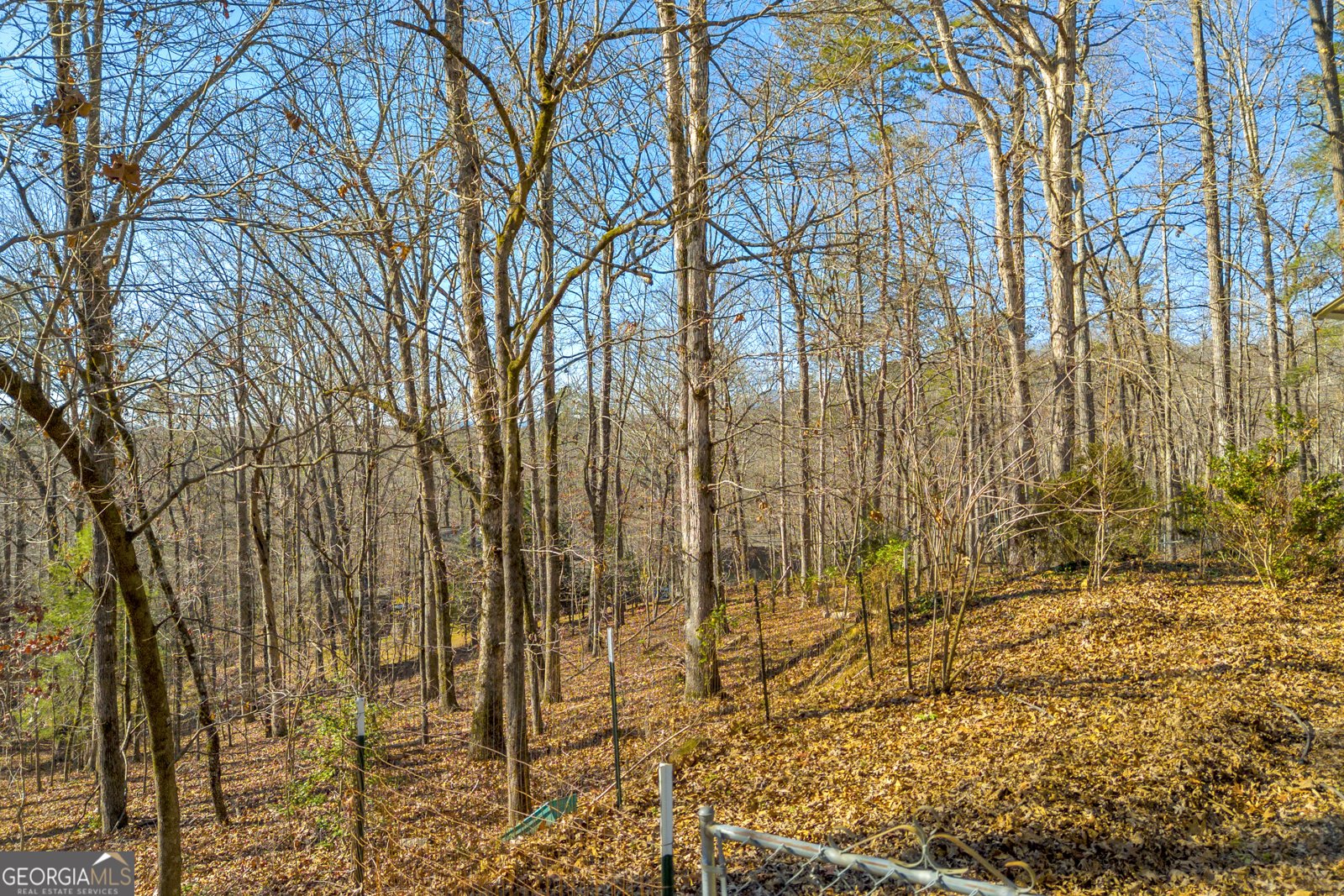 215 Stonehedge Drive Clarkesville - 107