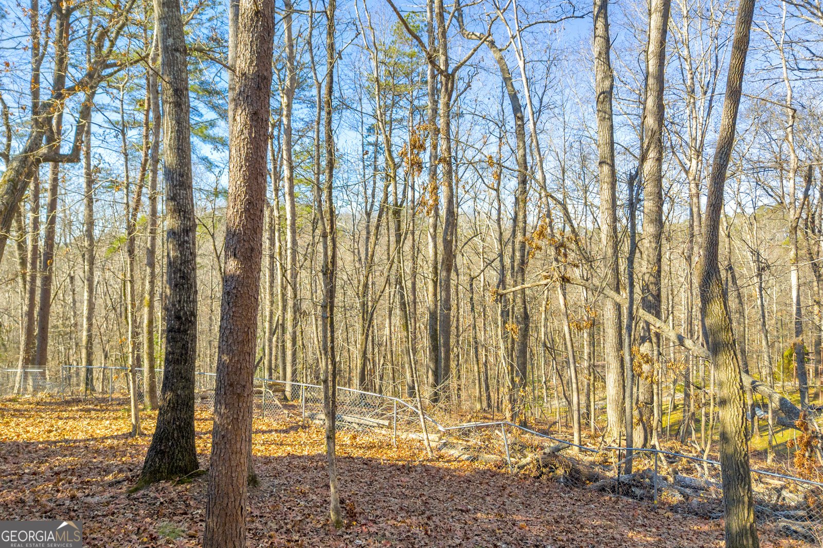 215 Stonehedge Drive Clarkesville - 108