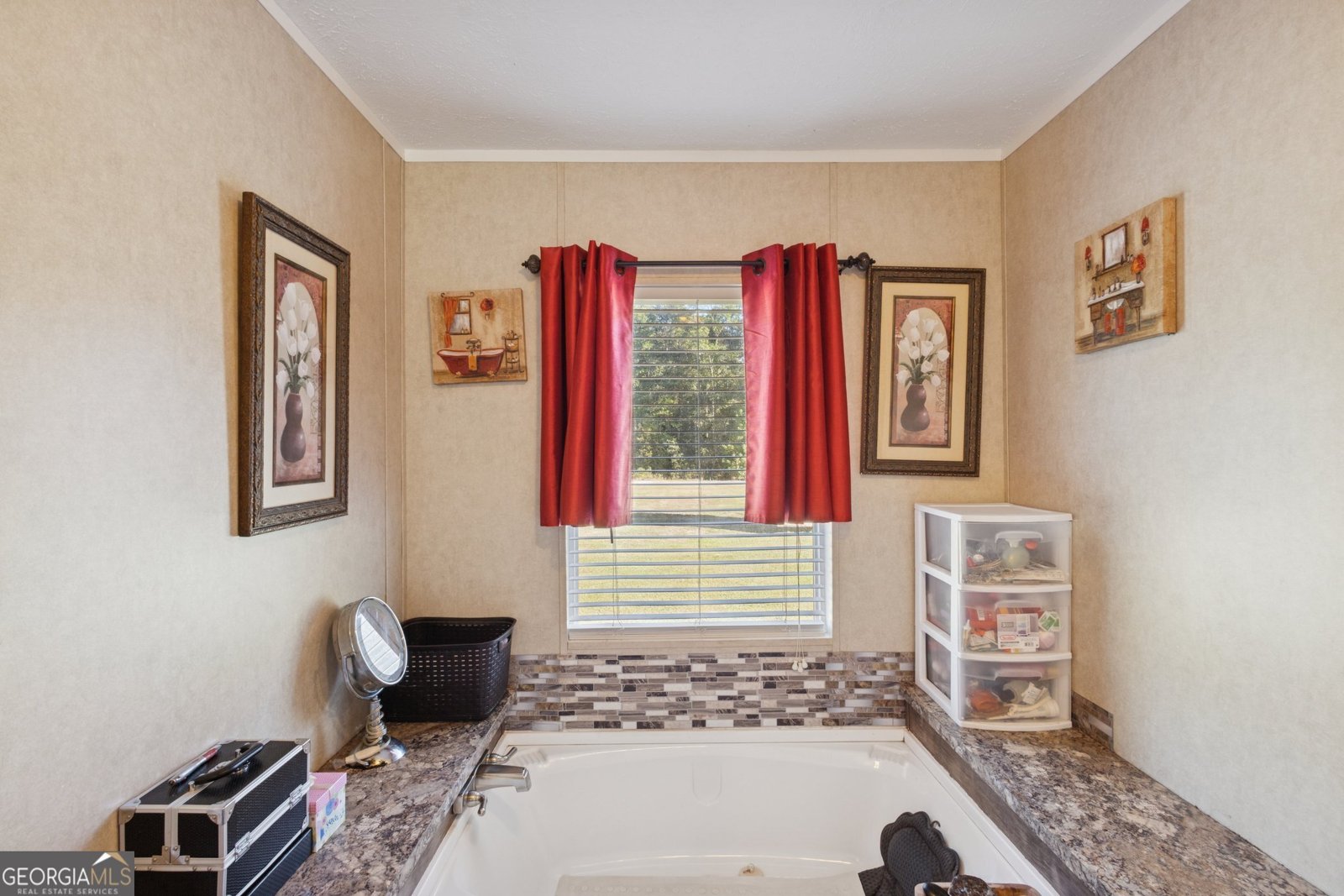 1238 Reedsville Road Clyo - 19