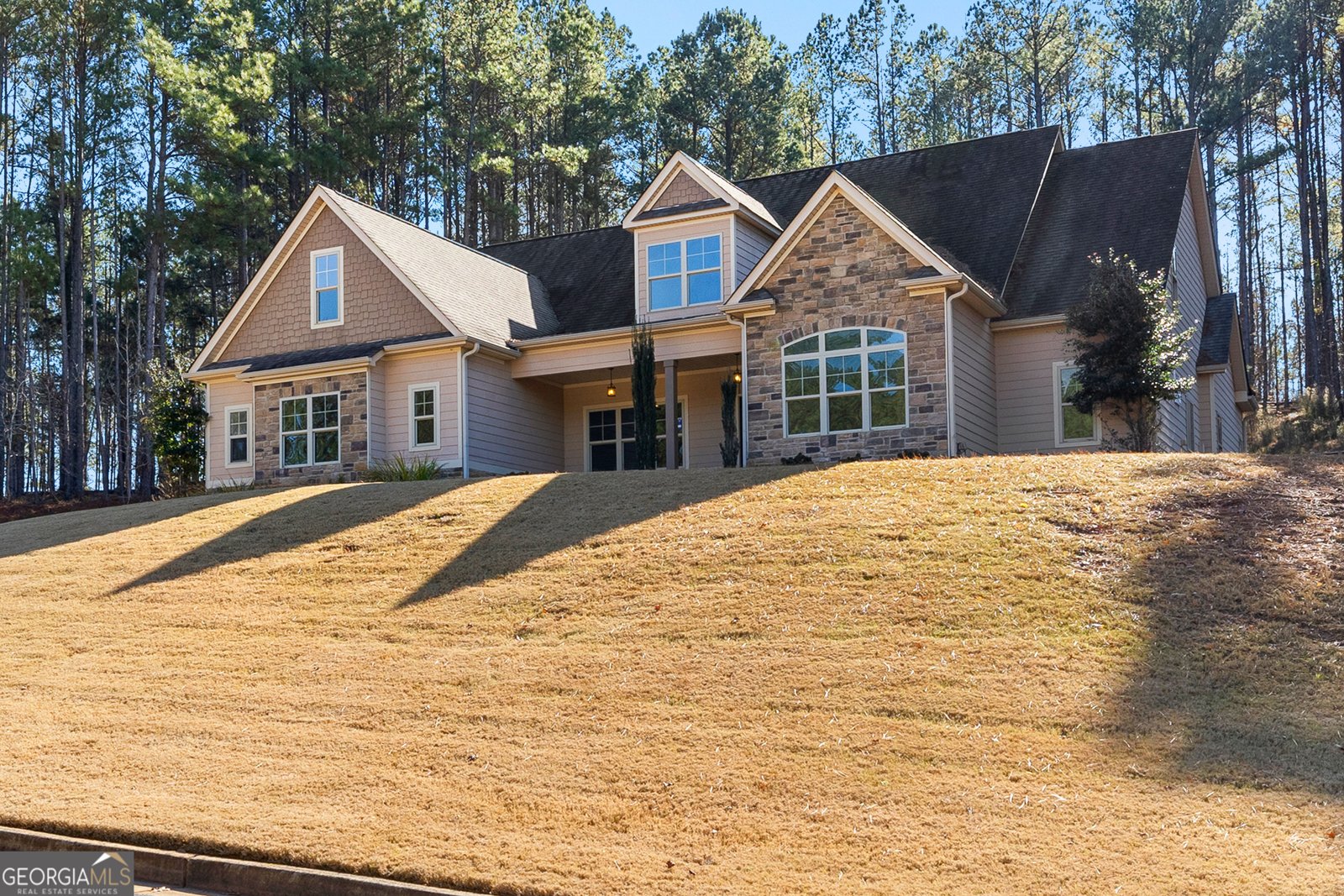 44 Fendley Trace Newnan - 4