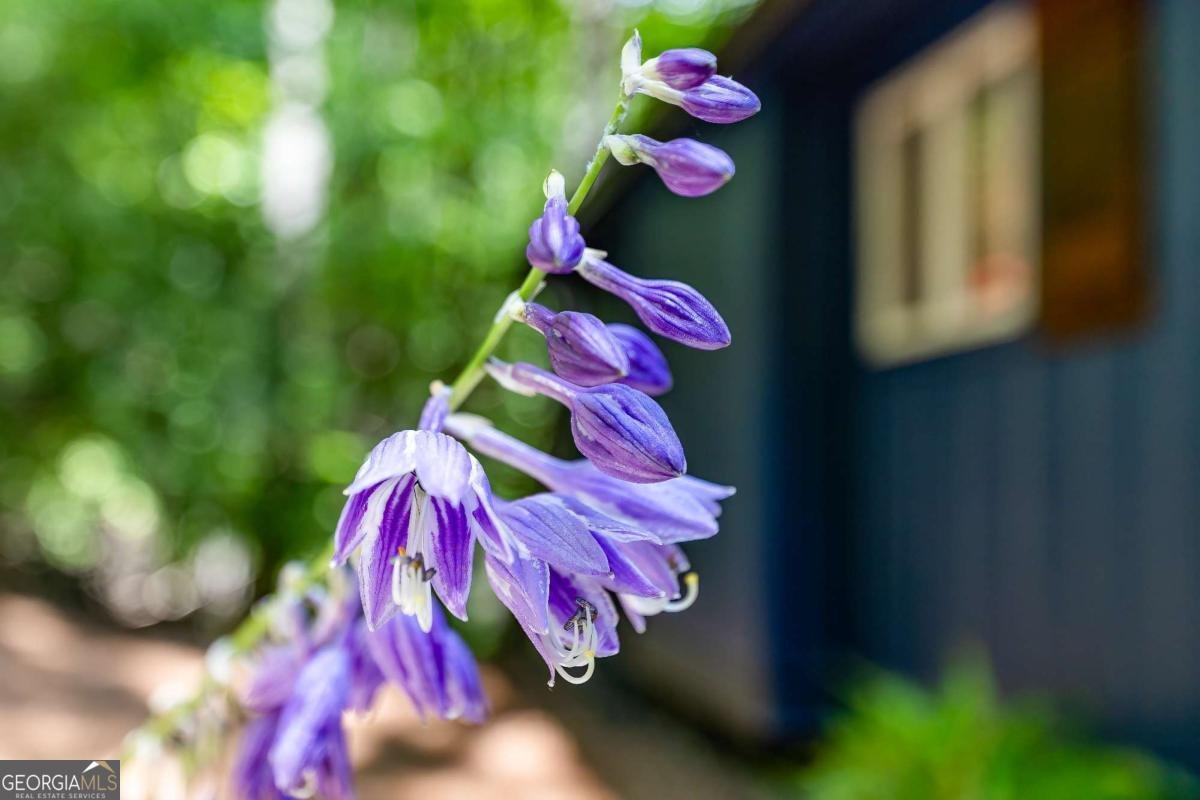 49 Baum Weg Helen - 57