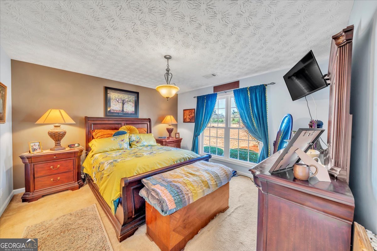 406 Horseshoe Bend Road Montezuma - 22