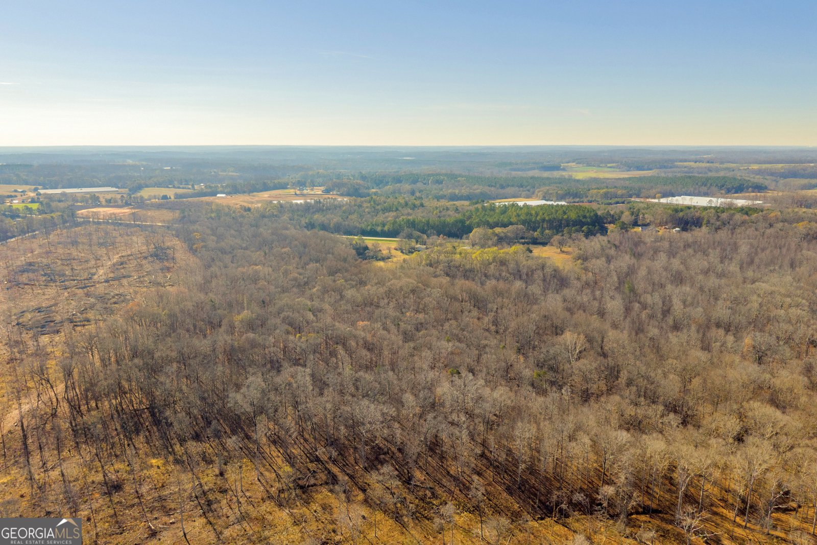 7660 Sandy Cross Road Carnesville - 12