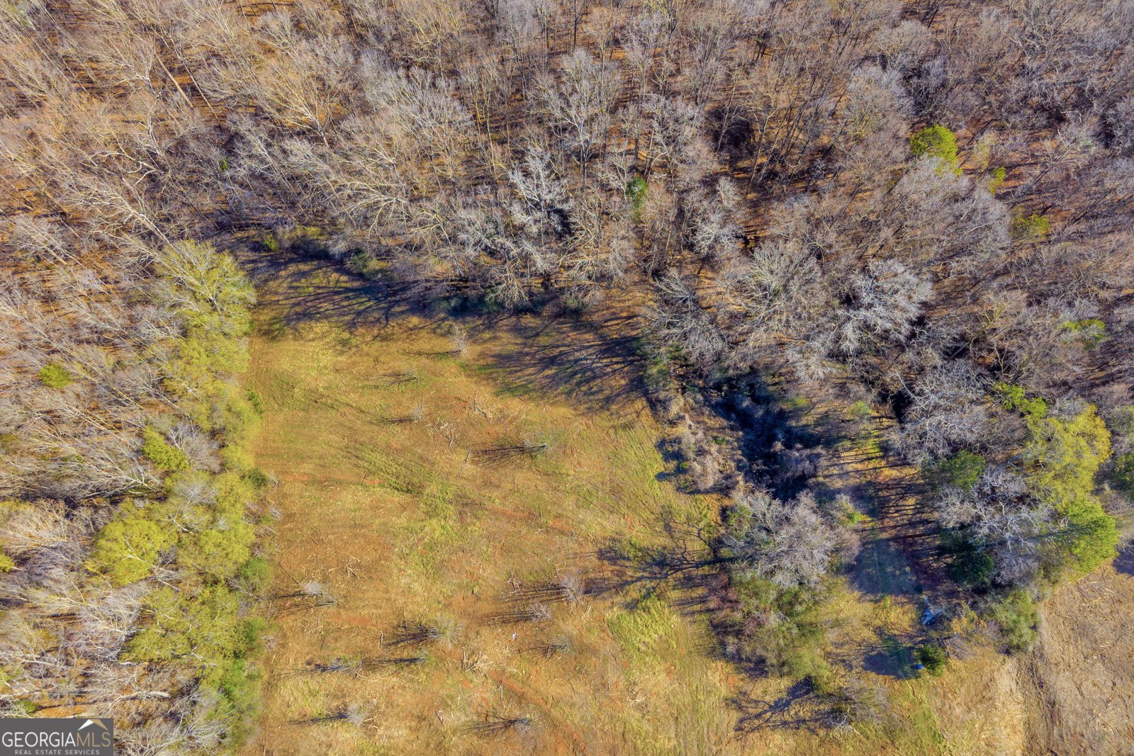 7660 Sandy Cross Road Carnesville - 34