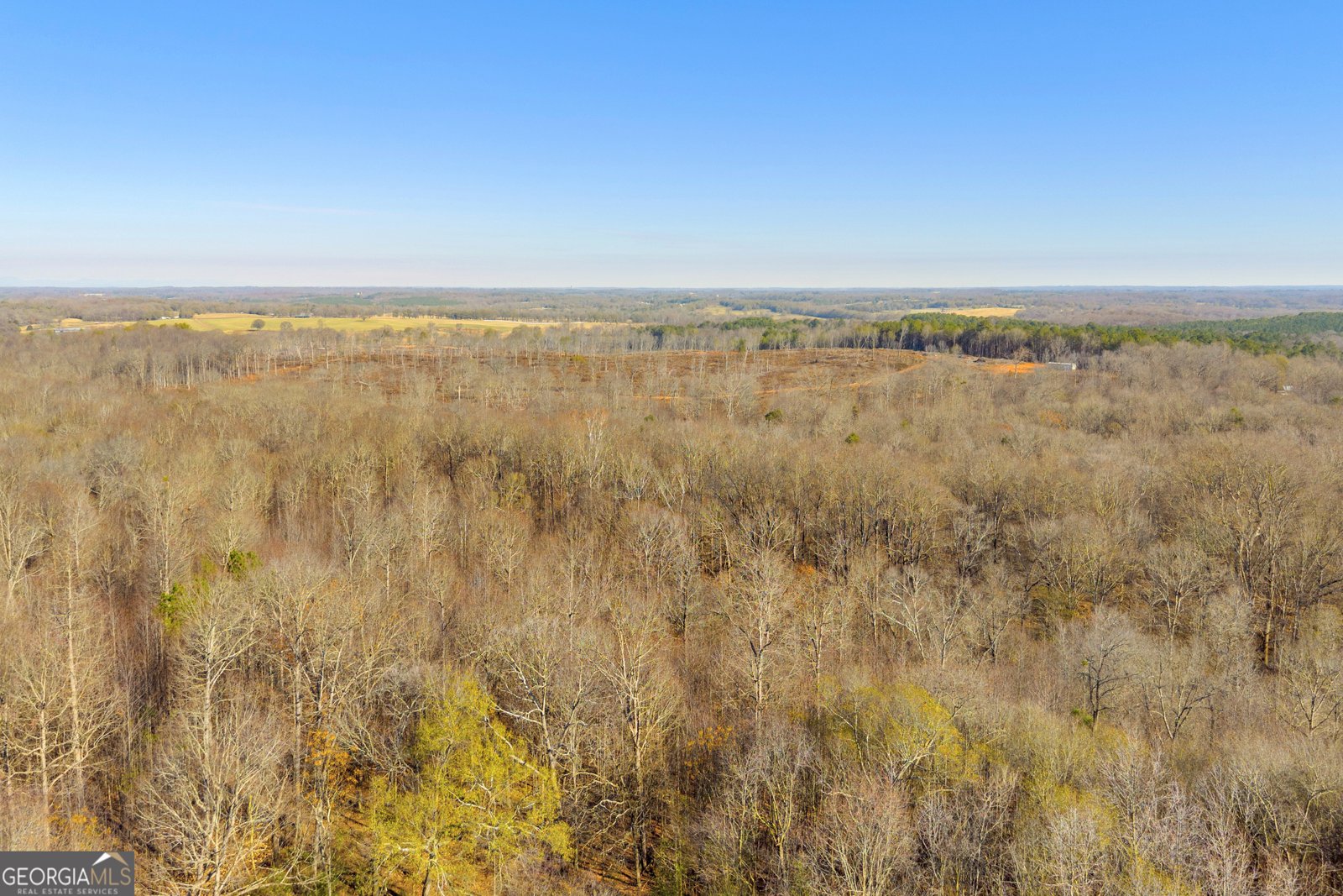 7660 Sandy Cross Road Carnesville - 40