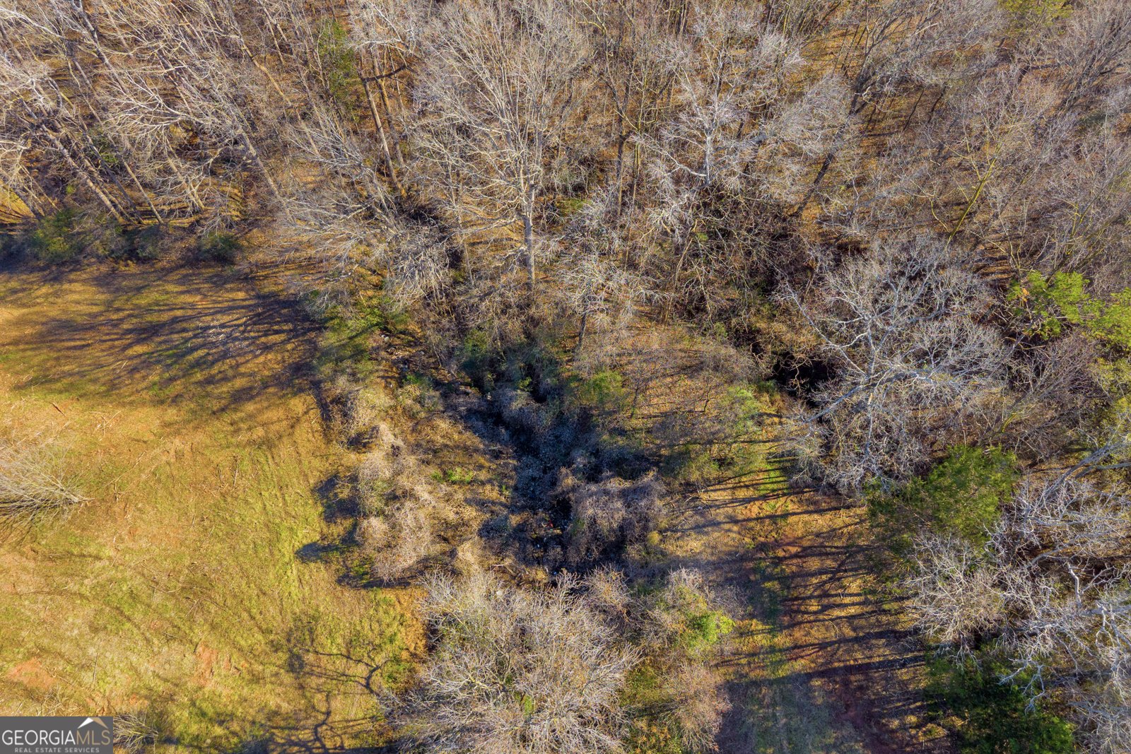 7660 Sandy Cross Road Carnesville - 44