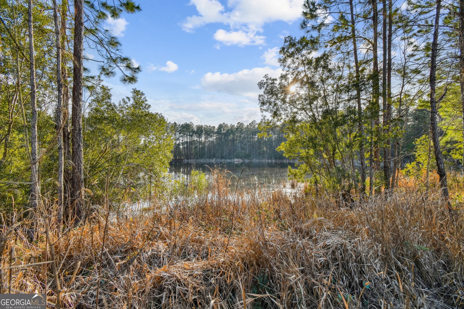 45 Aidan Court St. Marys - 29