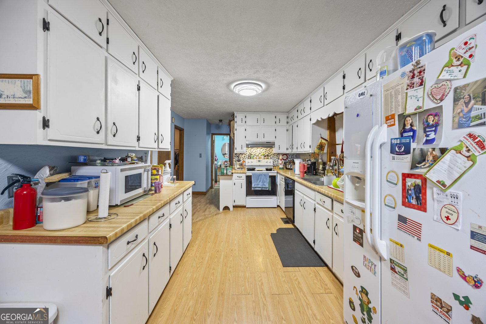 183 Golden Valley Drive Demorest - 21