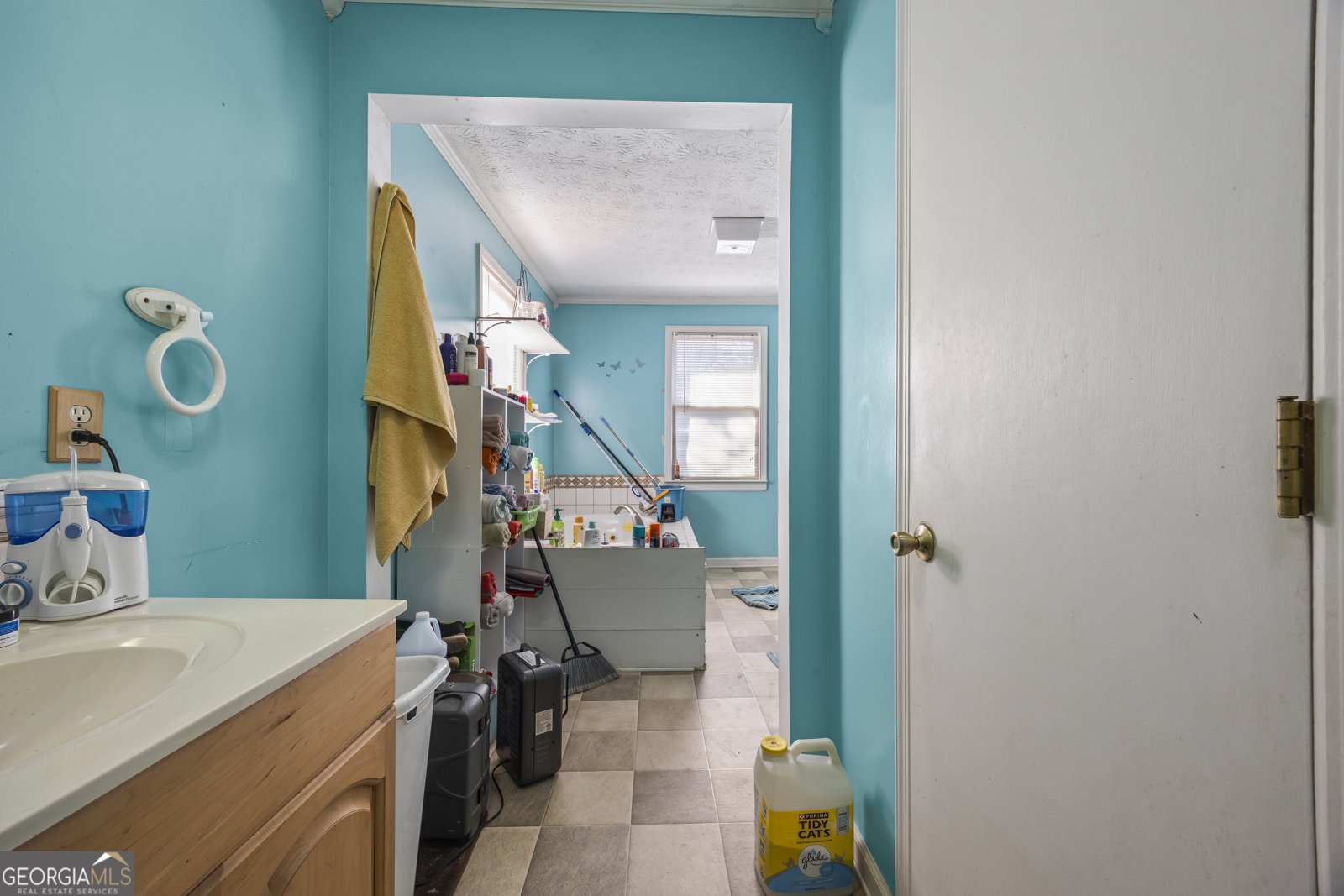 183 Golden Valley Drive Demorest - 27