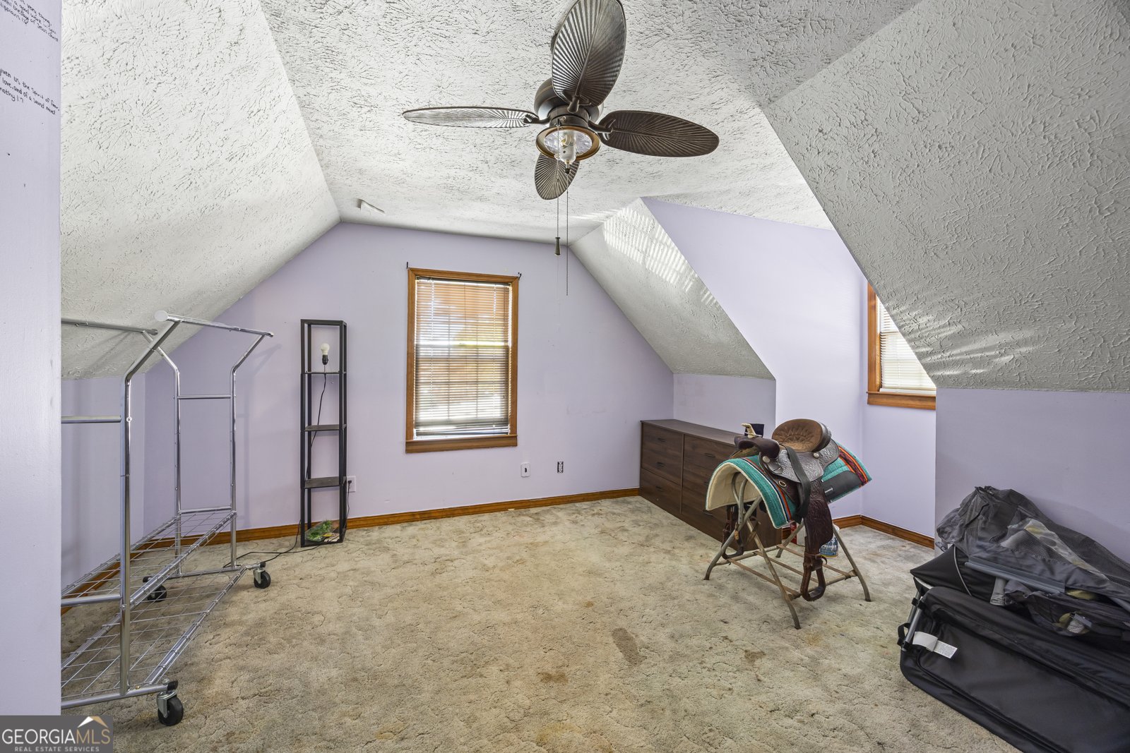 183 Golden Valley Drive Demorest - 32