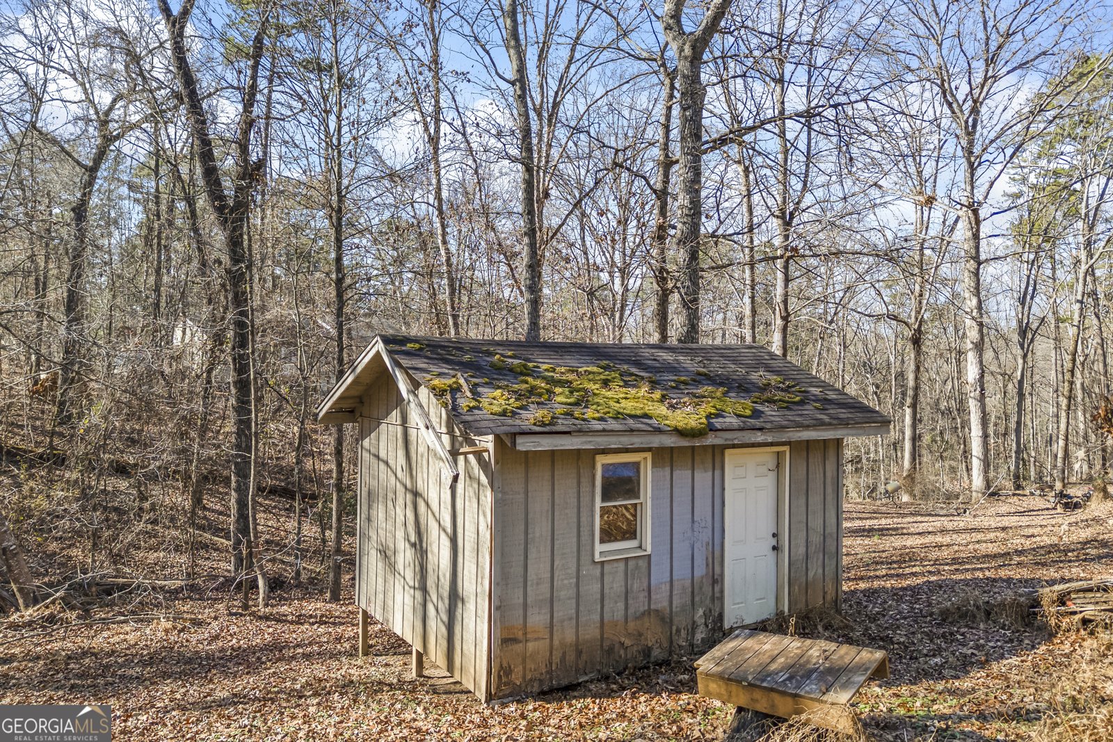 183 Golden Valley Drive Demorest - 43