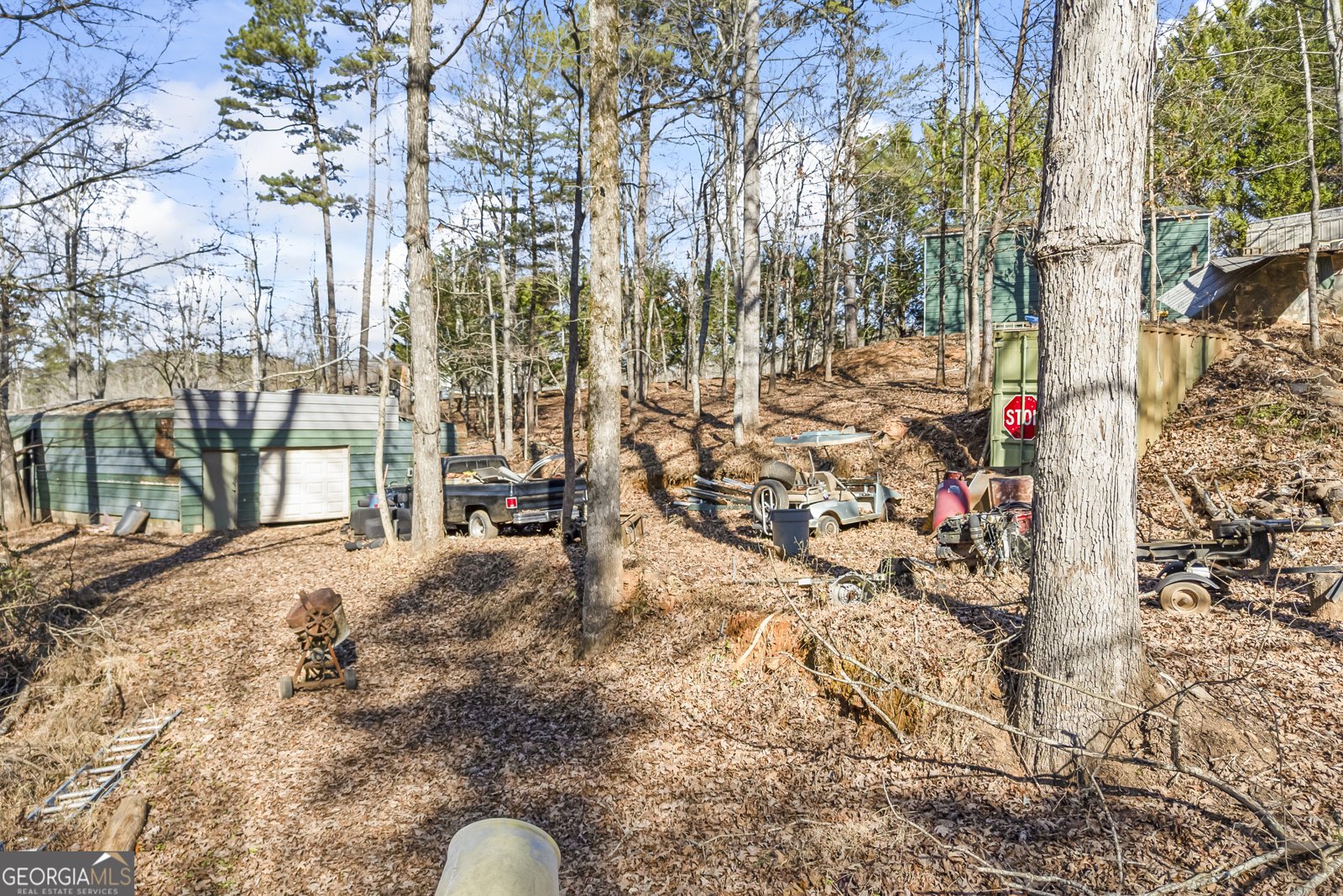 183 Golden Valley Drive Demorest - 47