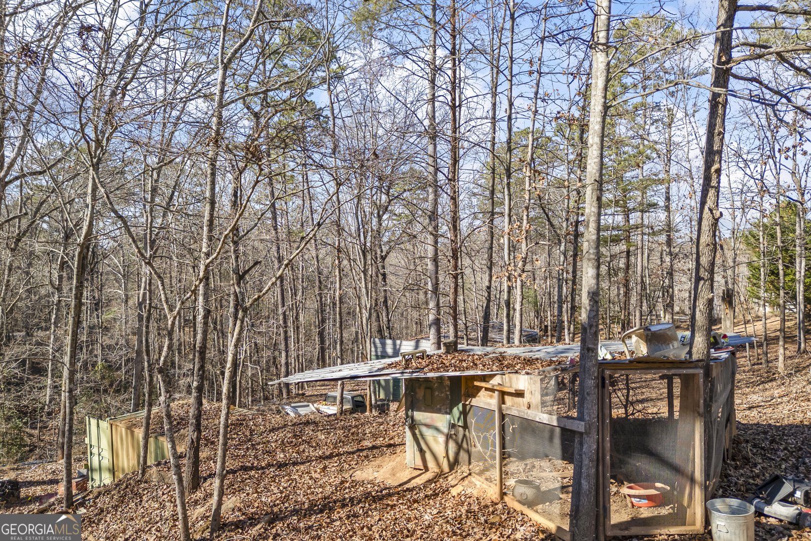 183 Golden Valley Drive Demorest - 48