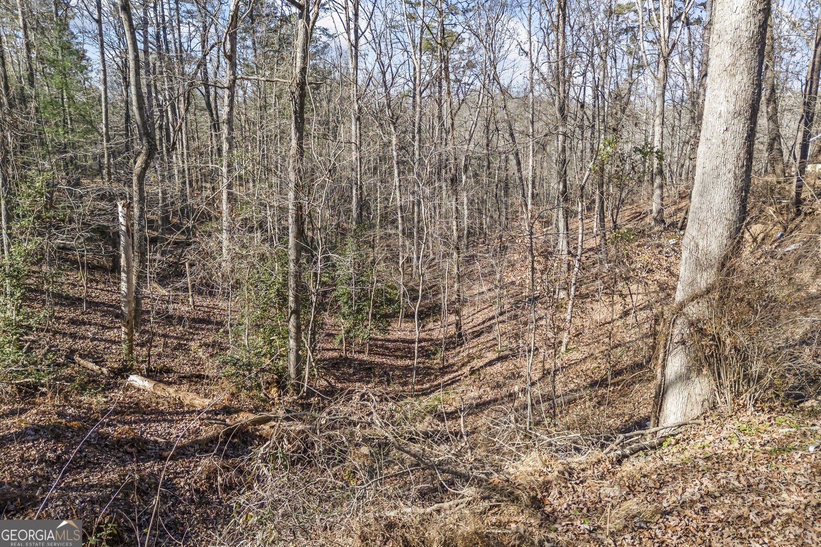 183 Golden Valley Drive Demorest - 49