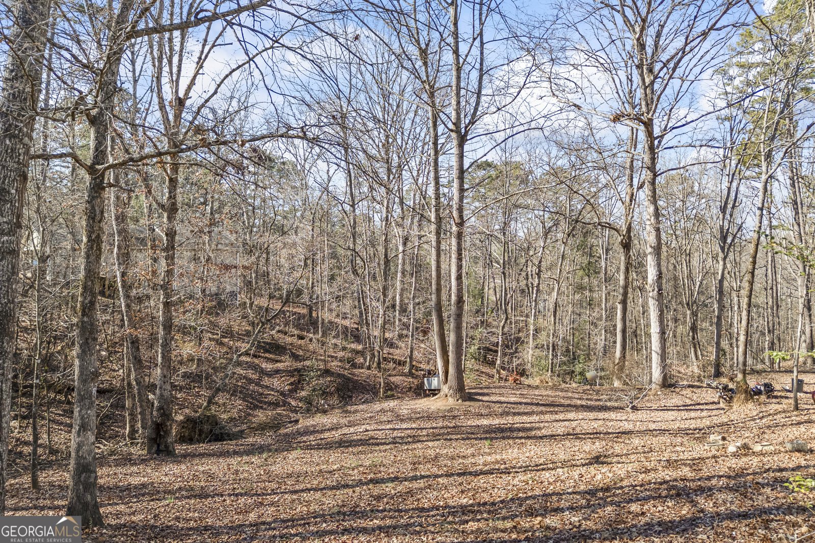 183 Golden Valley Drive Demorest - 50