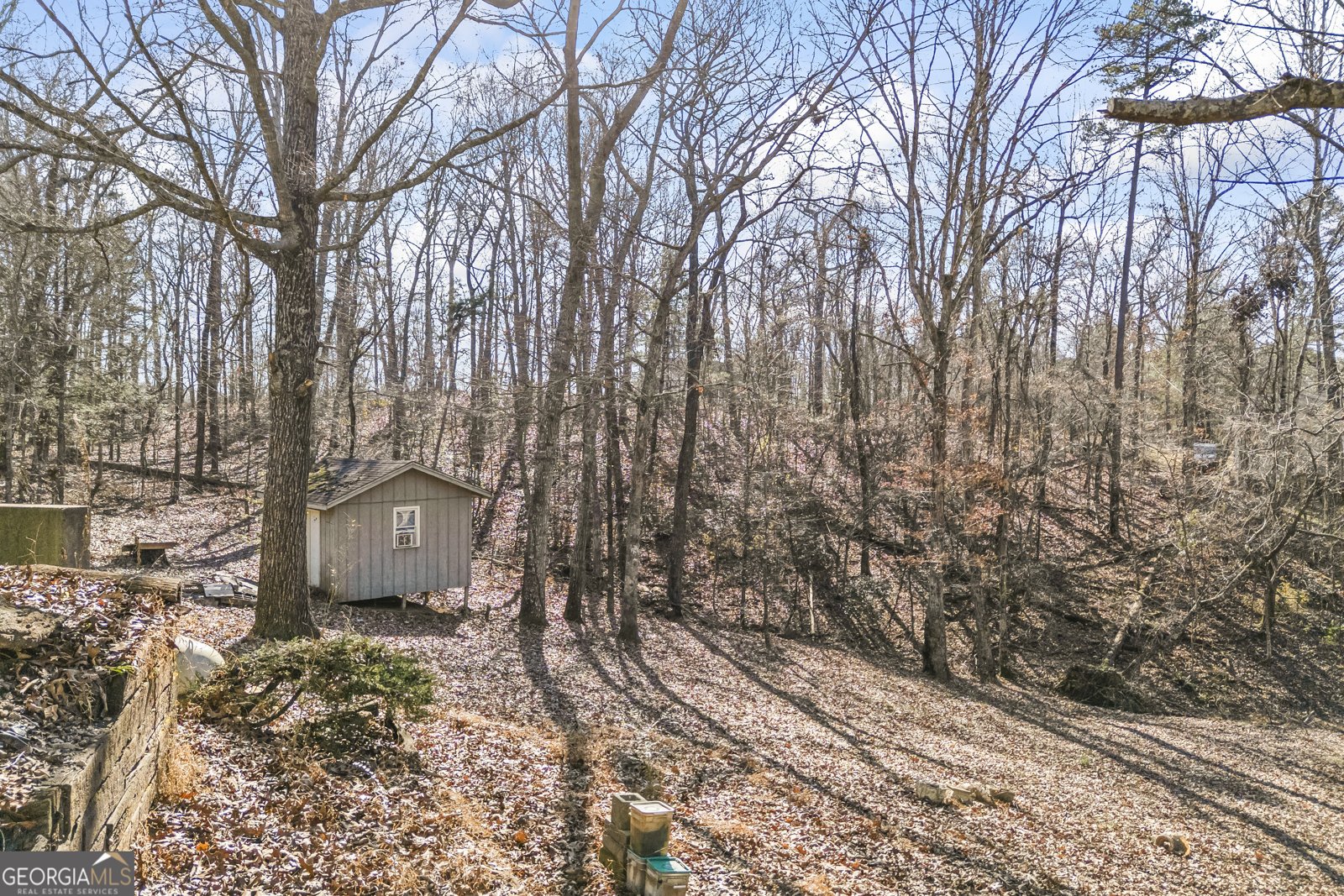 183 Golden Valley Drive Demorest - 51