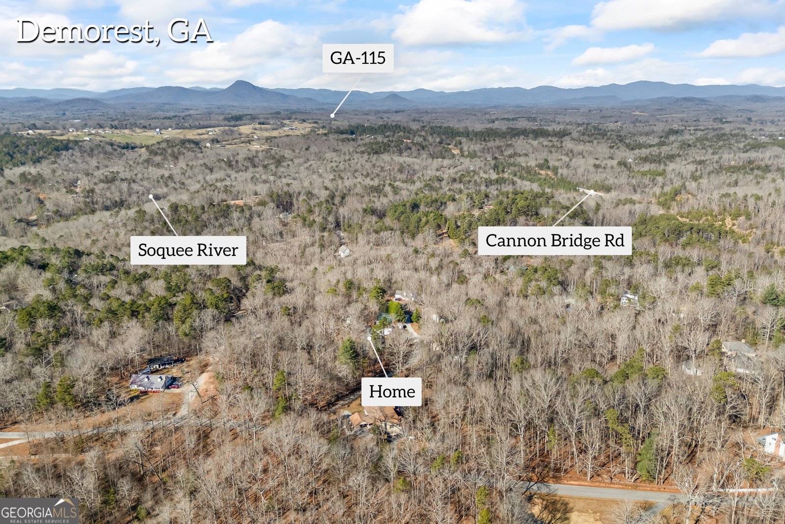 183 Golden Valley Drive Demorest - 53