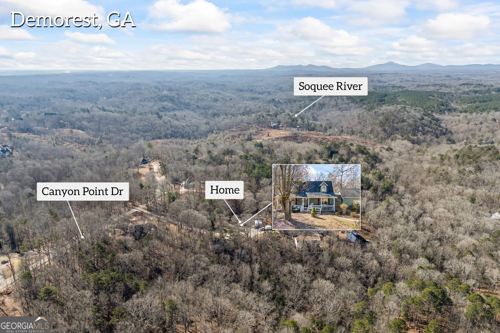 183 Golden Valley Drive Demorest - 54