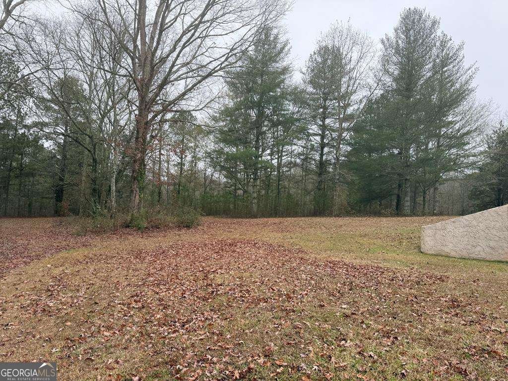 1837 Whooping Creek Road Carrollton - 17