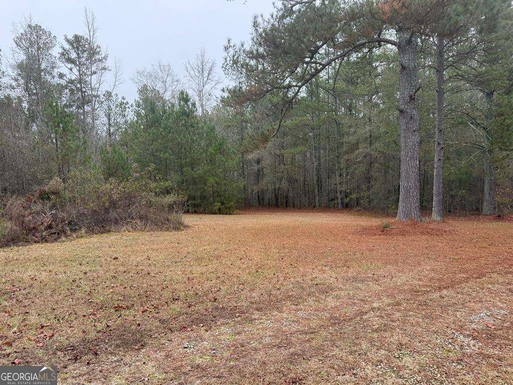 1837 Whooping Creek Road Carrollton - 19