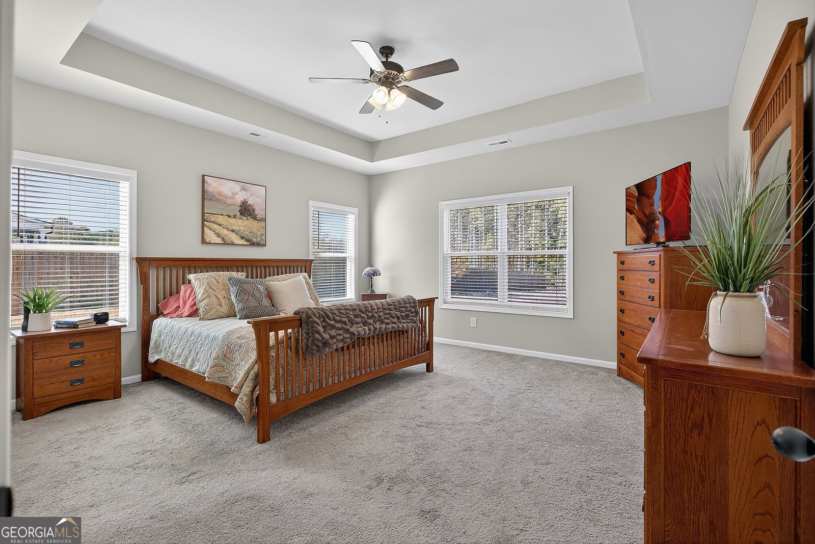 350 Cushing Street Senoia - 20