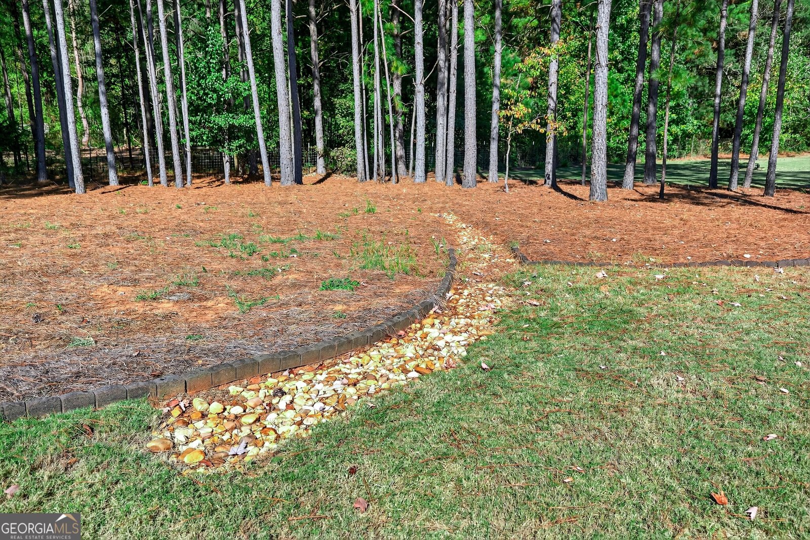 350 Cushing Street Senoia - 45