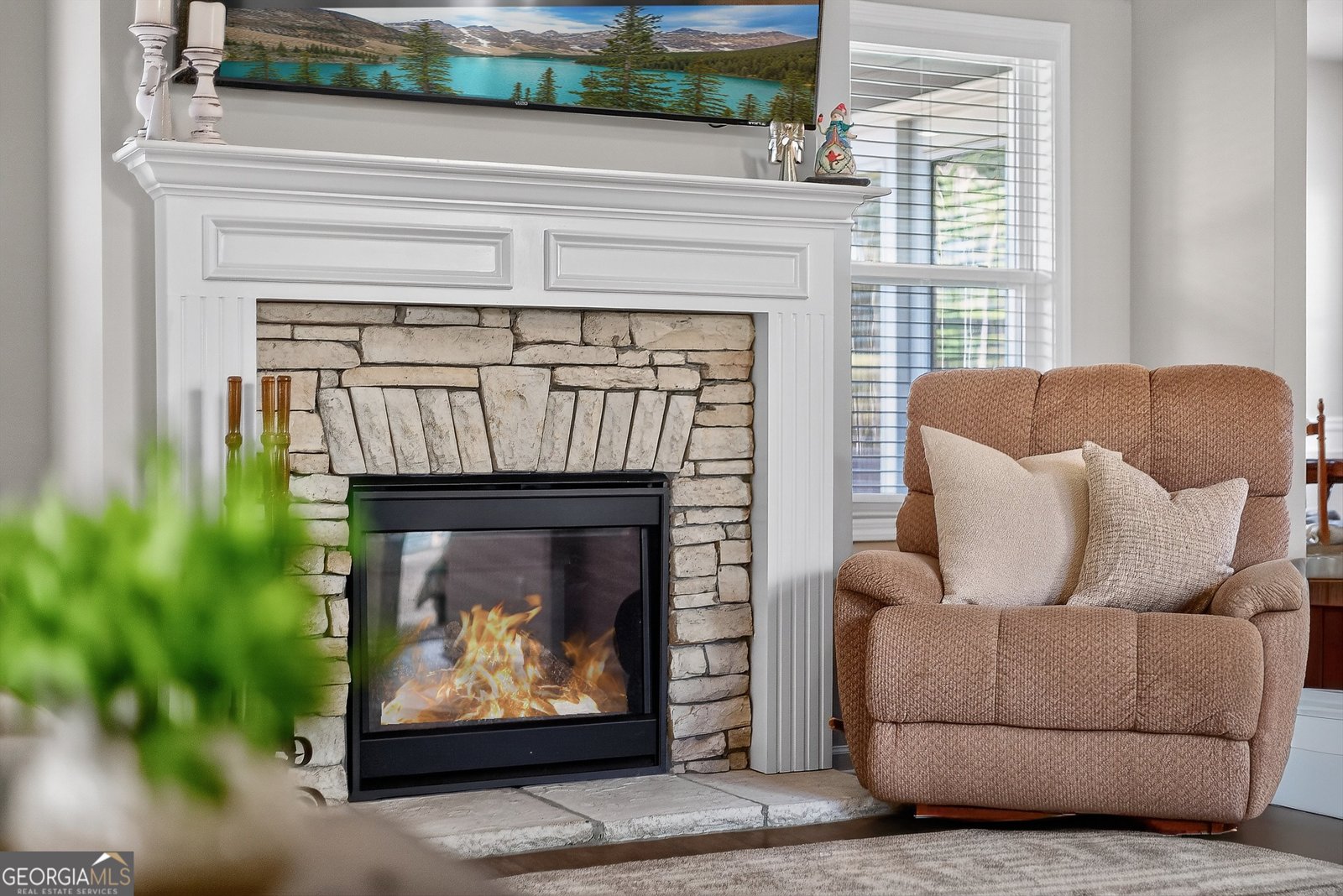 350 Cushing Street Senoia - 6