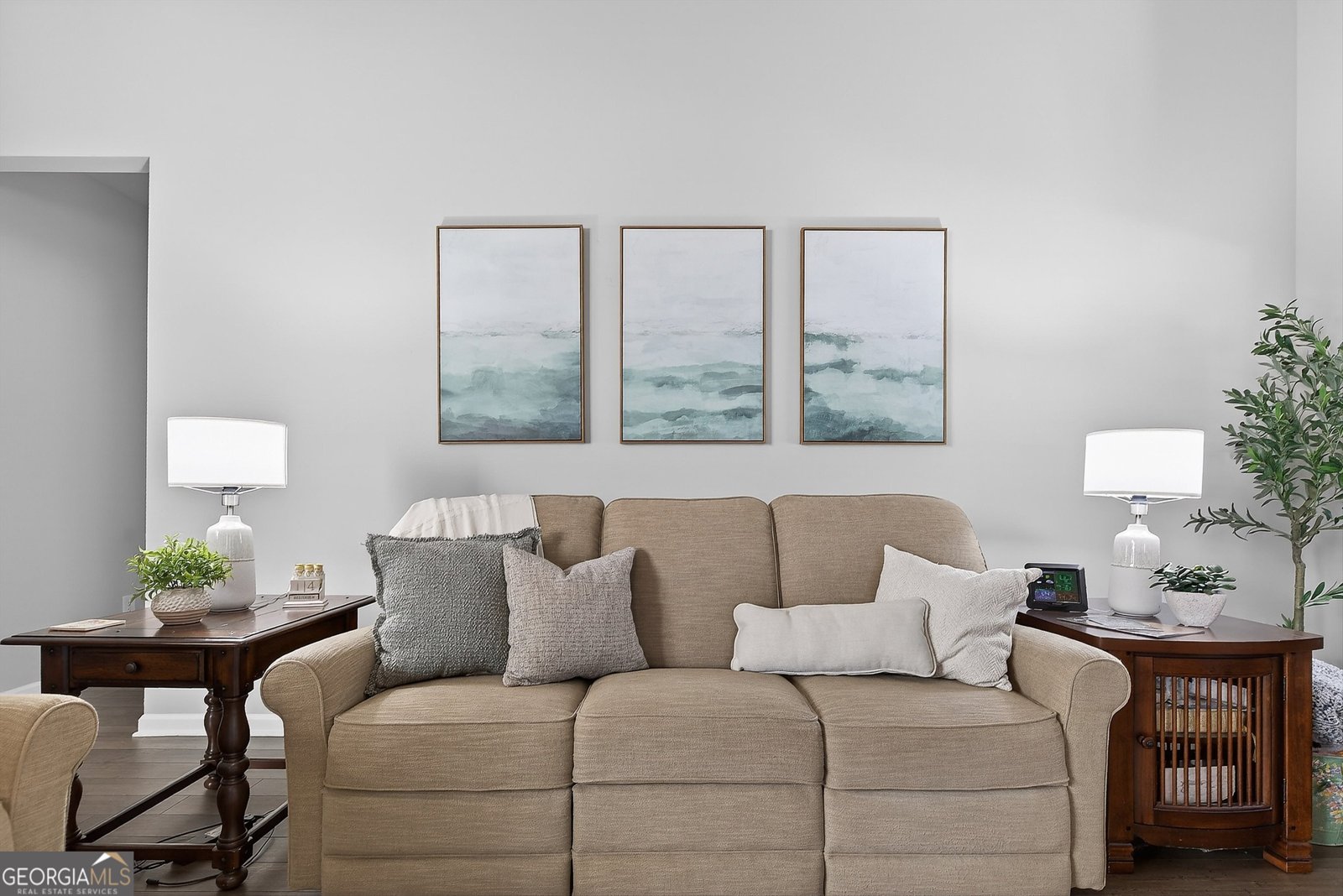 350 Cushing Street Senoia - 7