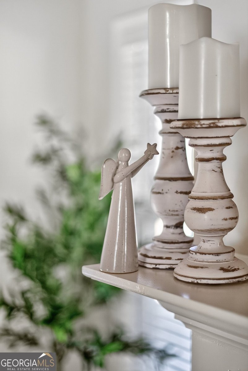 350 Cushing Street Senoia - 9