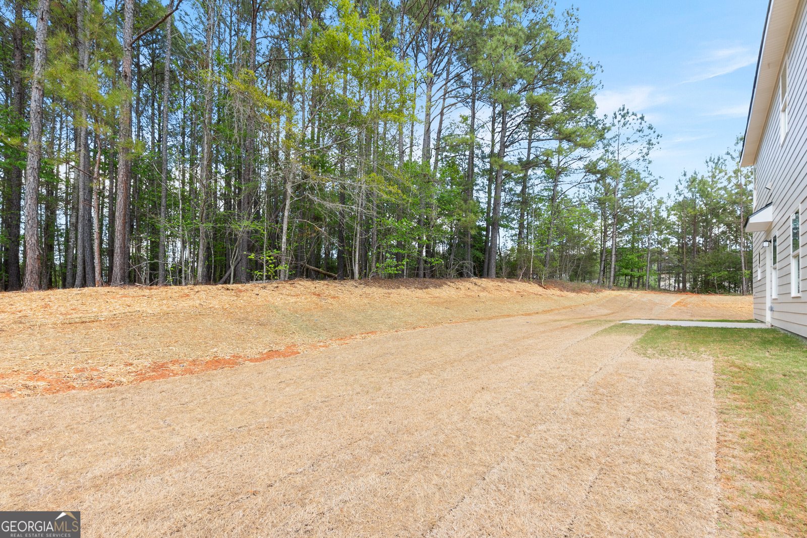 1030 Sun Valley Court Macon - Photo 51