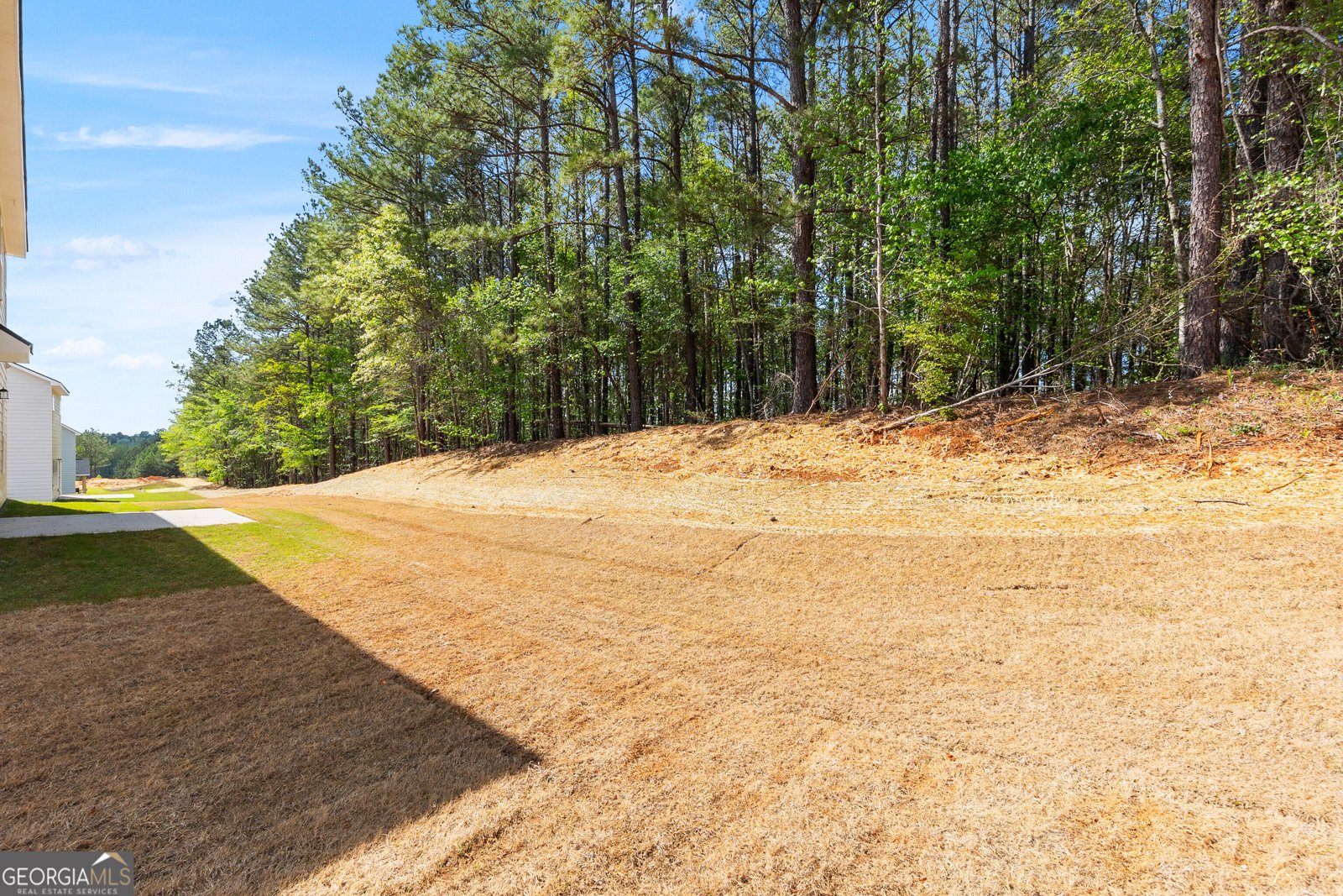 1030 Sun Valley Court Macon - Photo 53