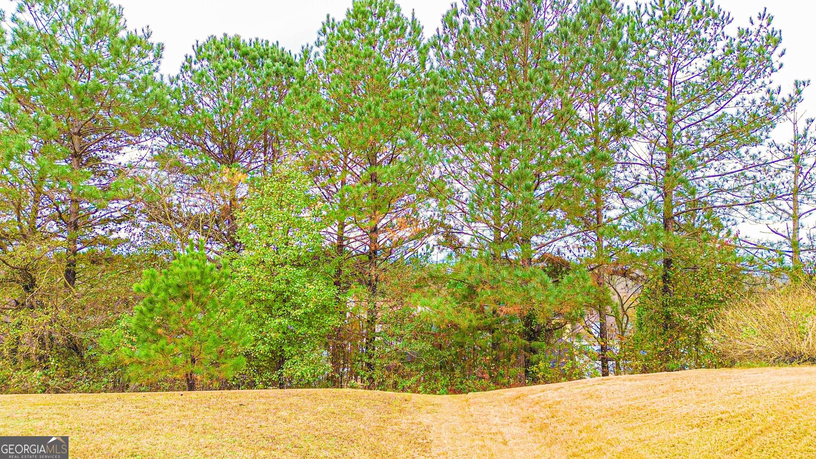 817 Lorraine Lane Stockbridge - 63