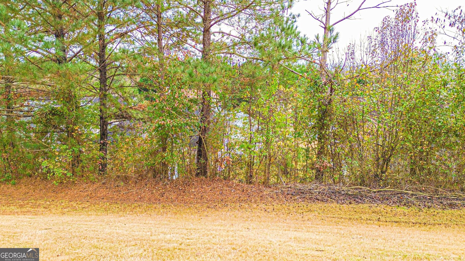 817 Lorraine Lane Stockbridge - 64