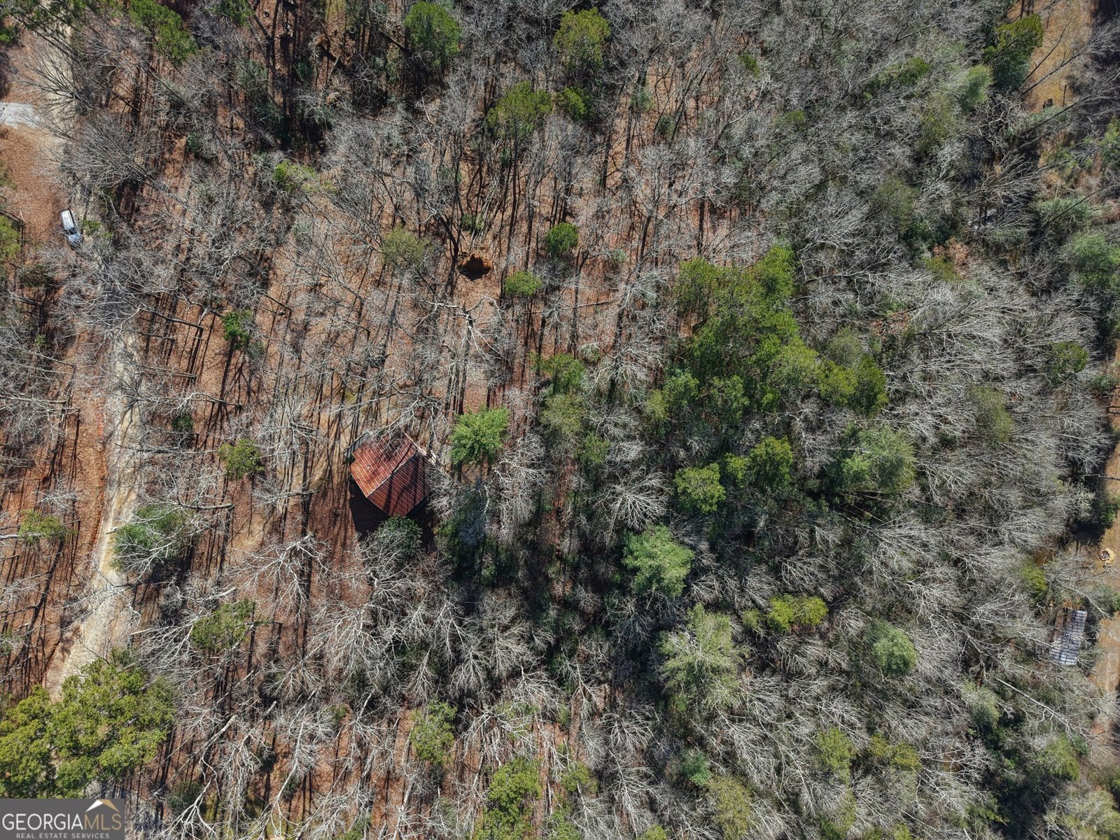 714 Deer Woods Trail Cleveland - 42