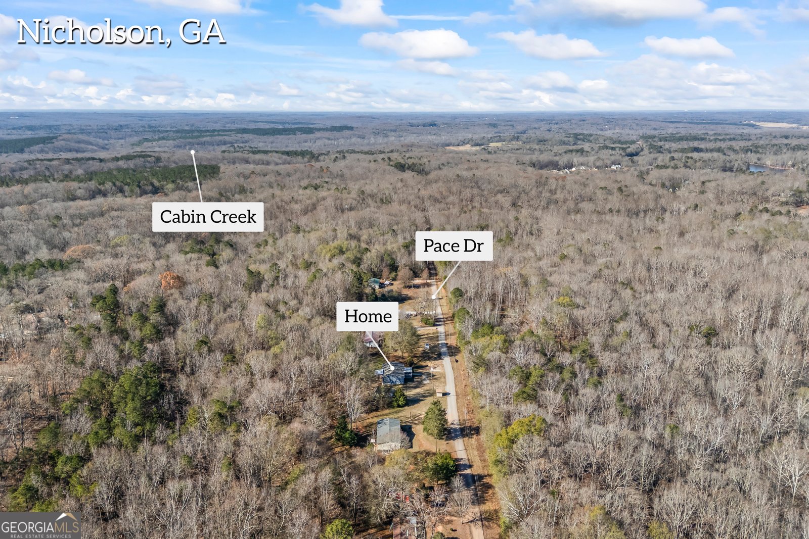 311 Pace Drive Nicholson - 42