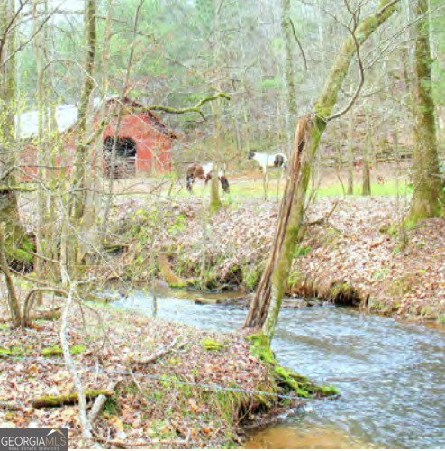 166 Quail Point Sautee Nacoochee - 50