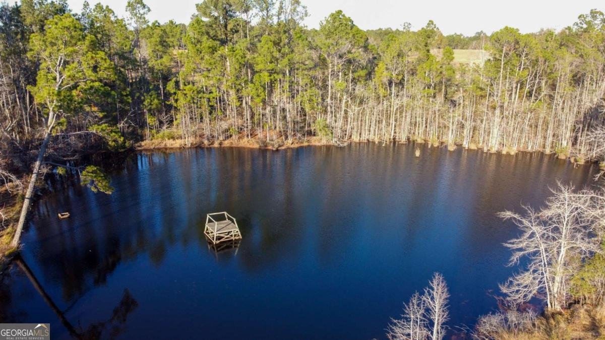 481 Clifford Purvis Road Collins - 3