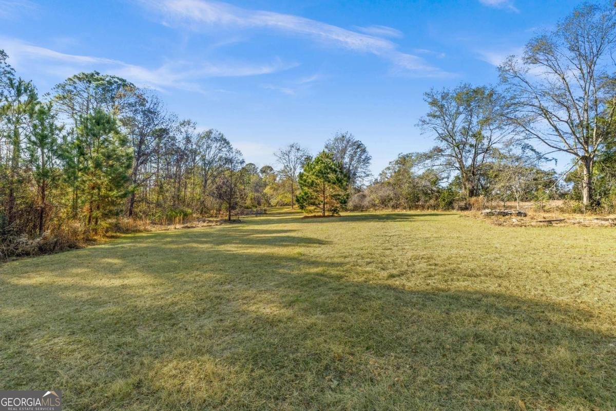 481 Clifford Purvis Road Collins - 5