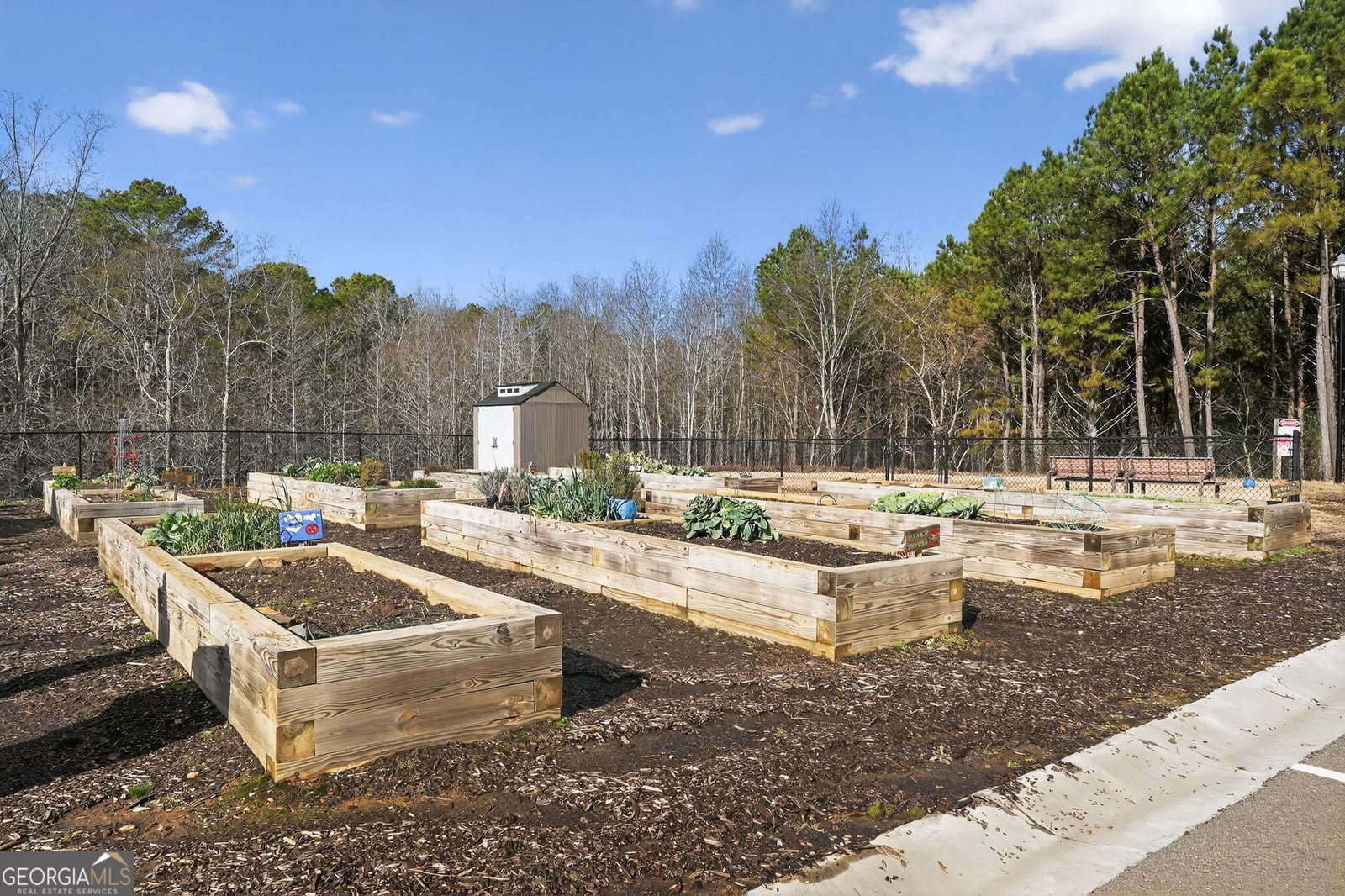 222 Grand Circle Jasper - Photo 32