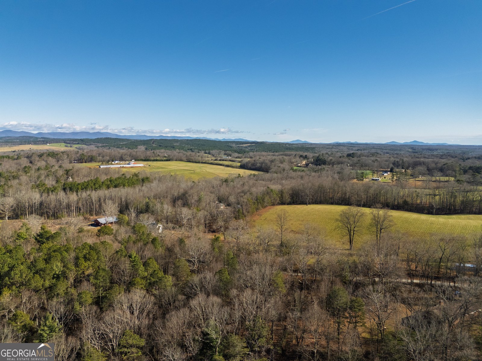 496 Juno Road Dawsonville - Photo 9