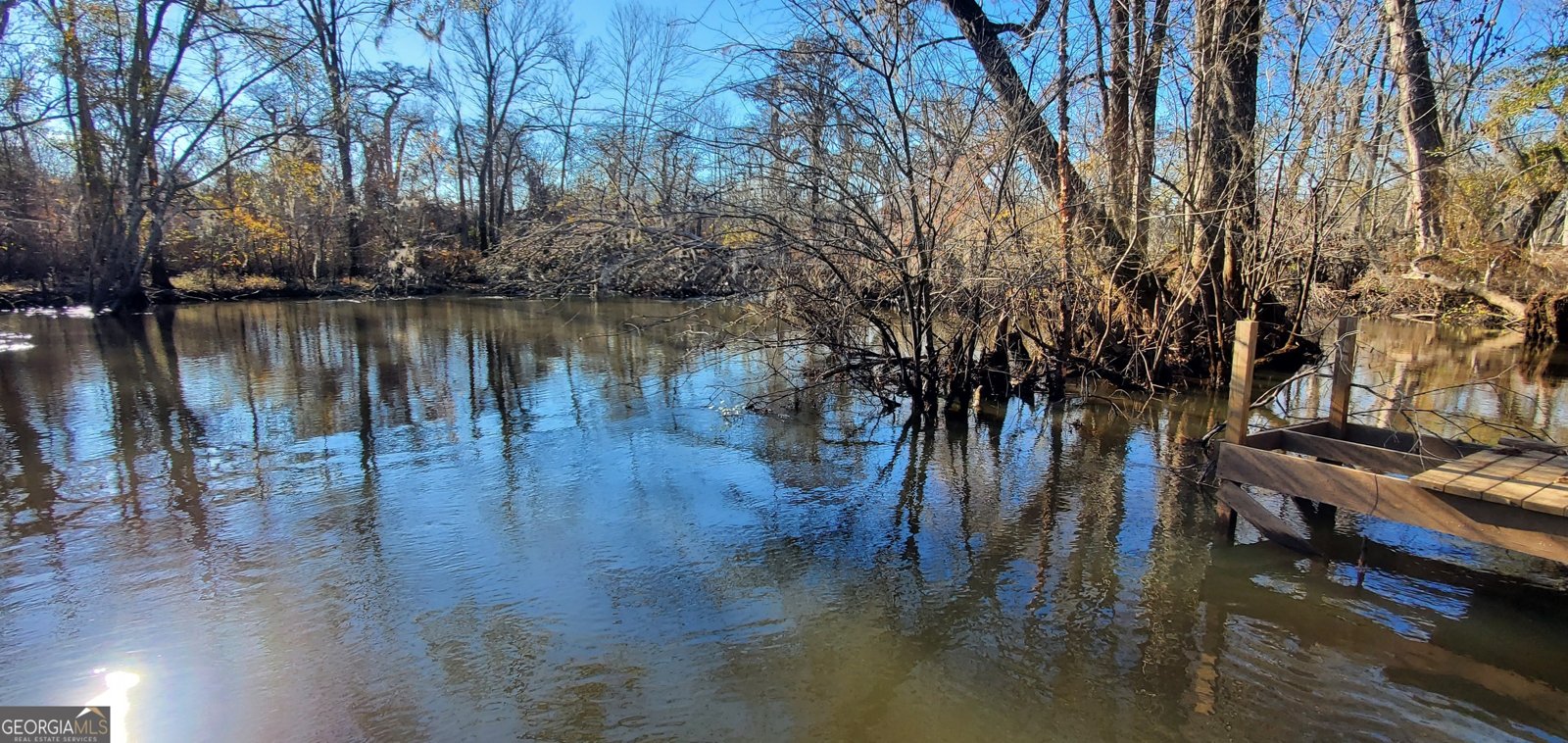 147 Brannen Landing Road Midville - 10