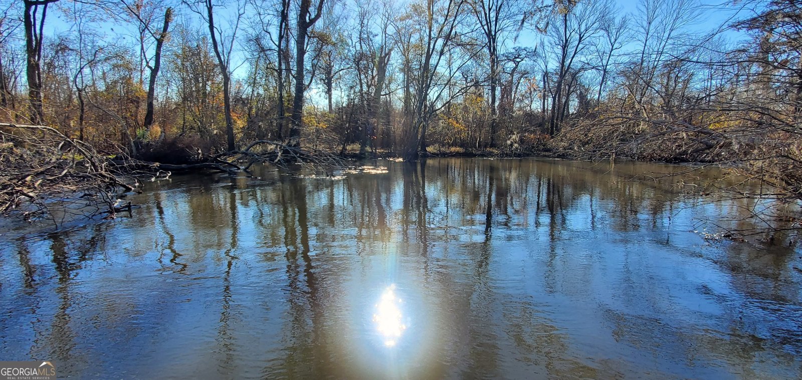 147 Brannen Landing Road Midville - 11