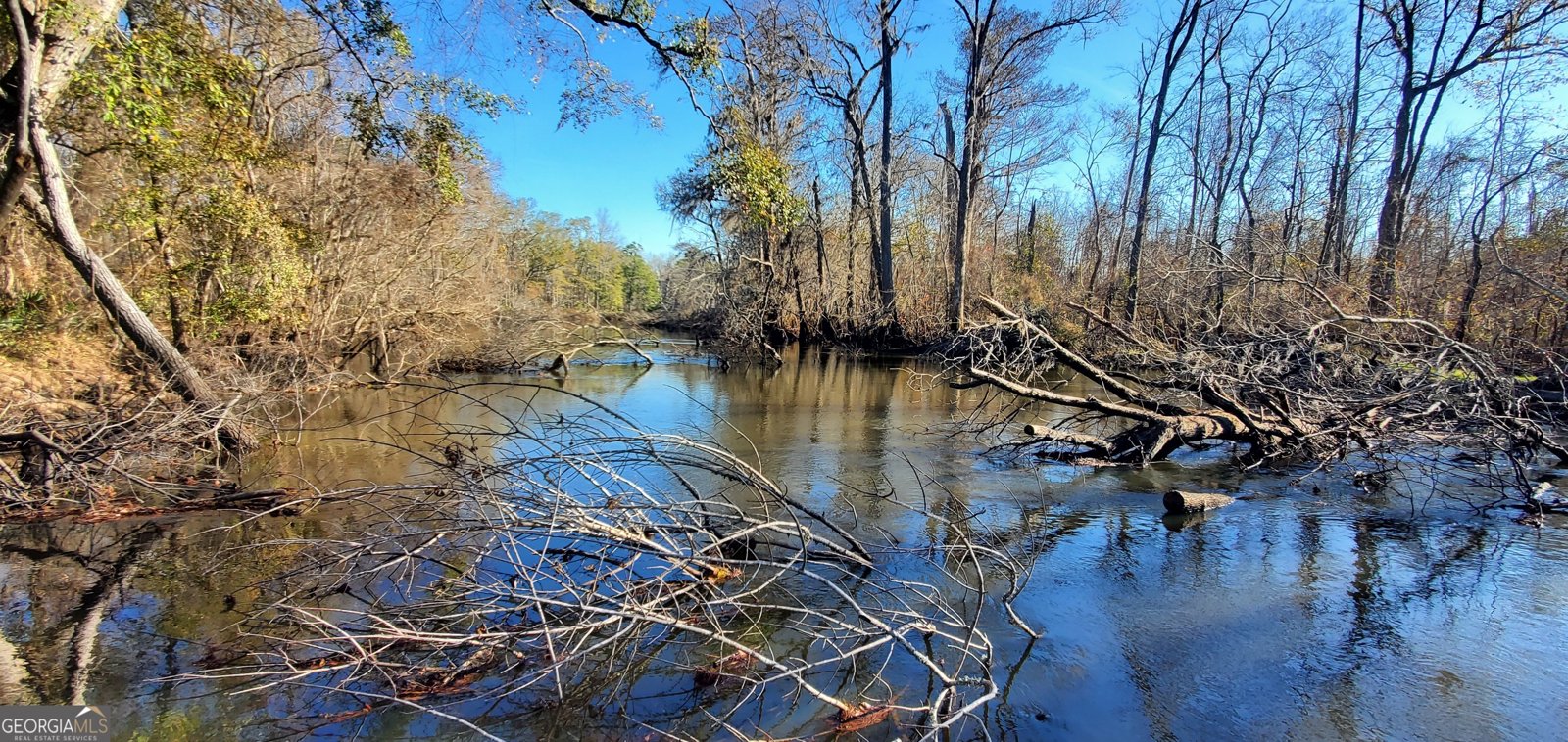 147 Brannen Landing Road Midville - 12