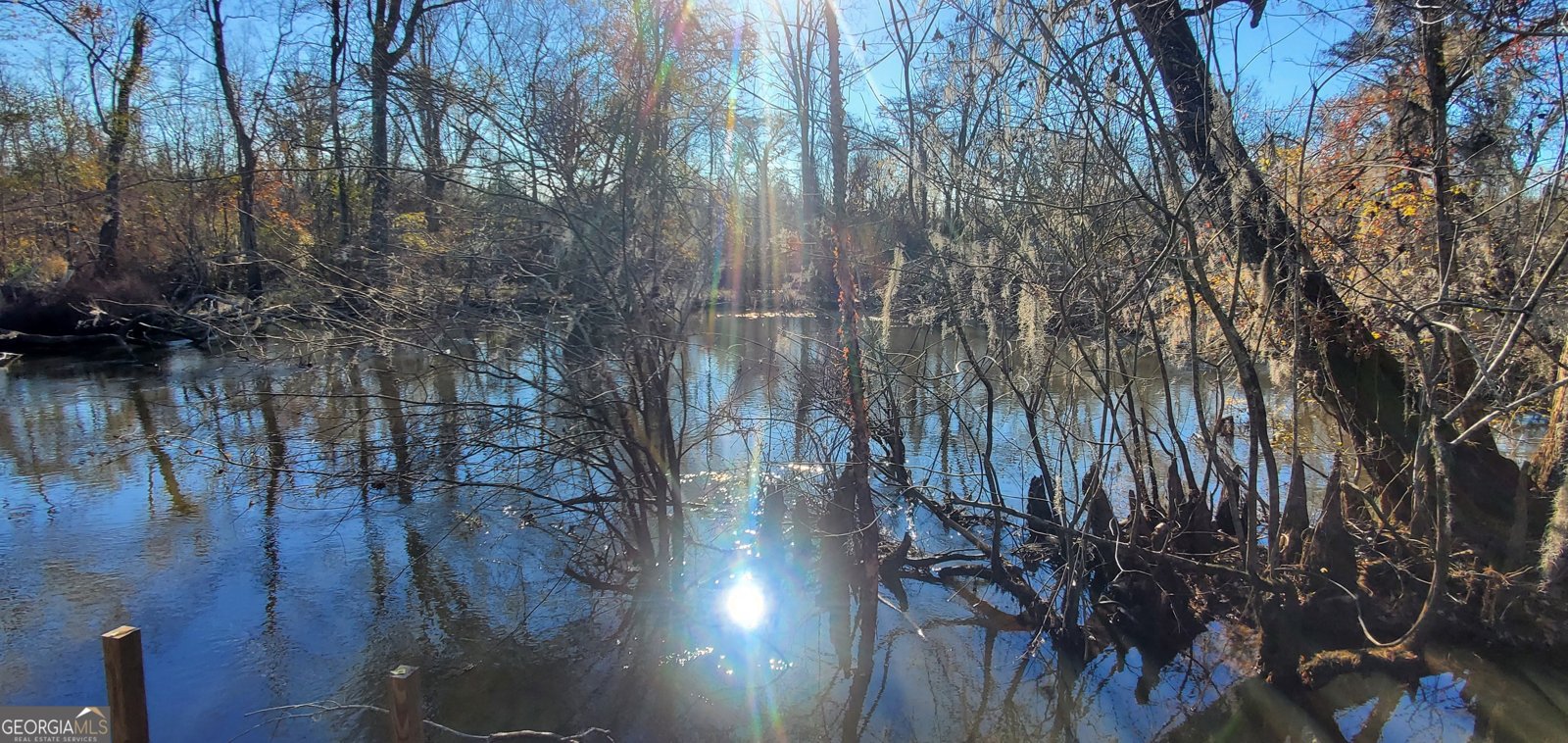 147 Brannen Landing Road Midville - 17