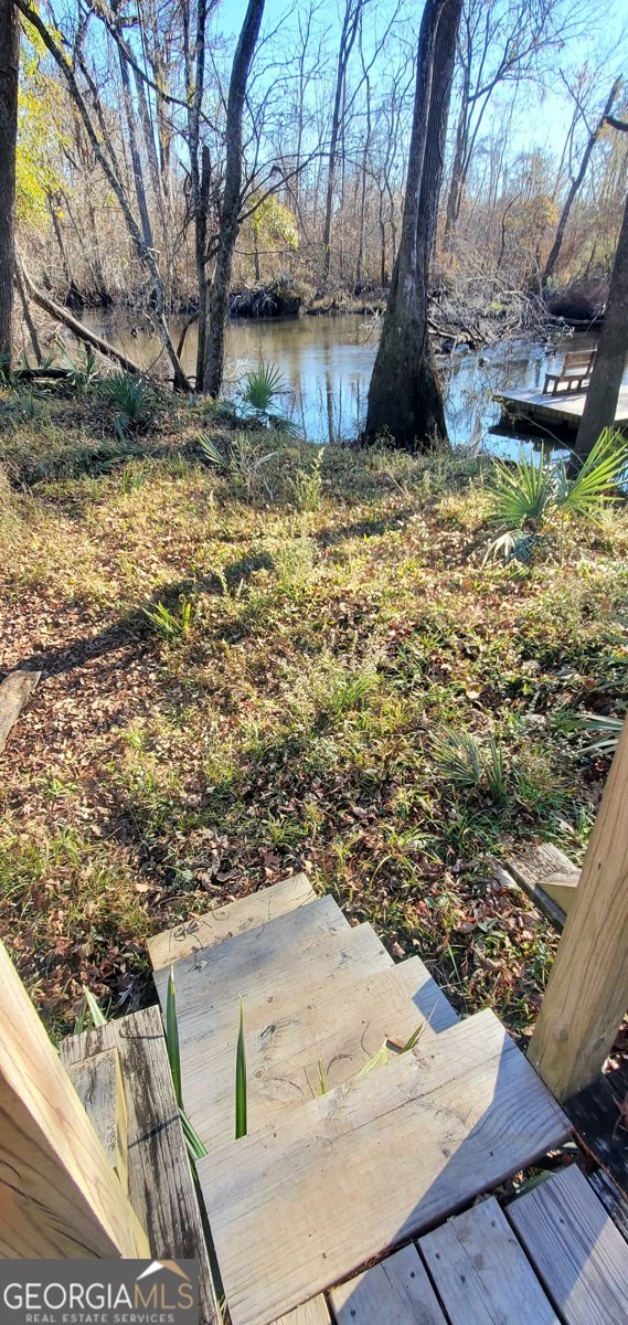 147 Brannen Landing Road Midville - 23