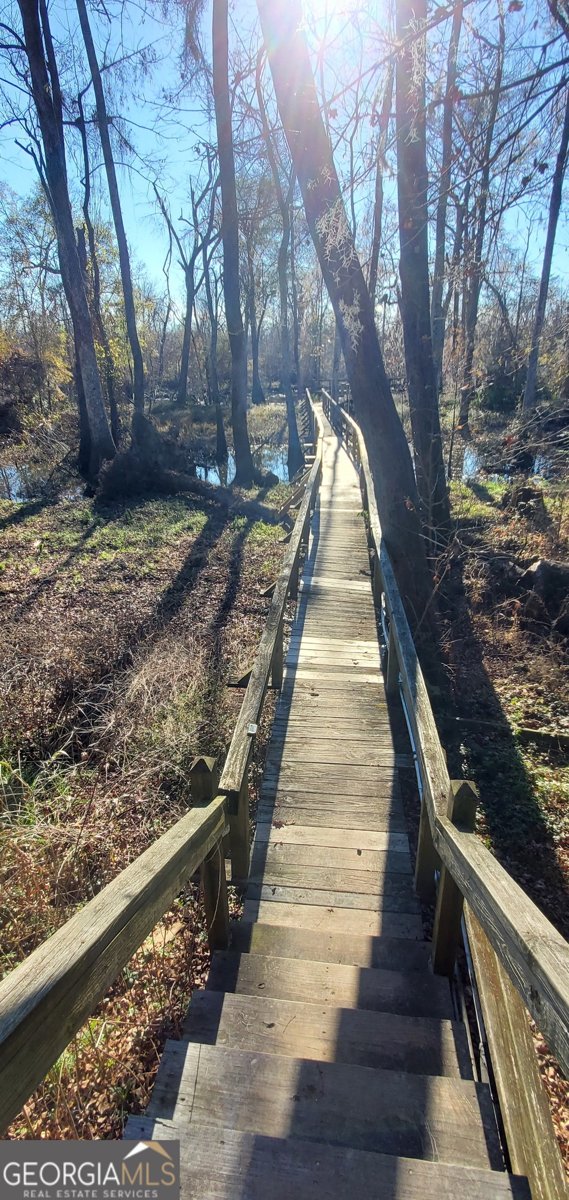 147 Brannen Landing Road Midville - 25