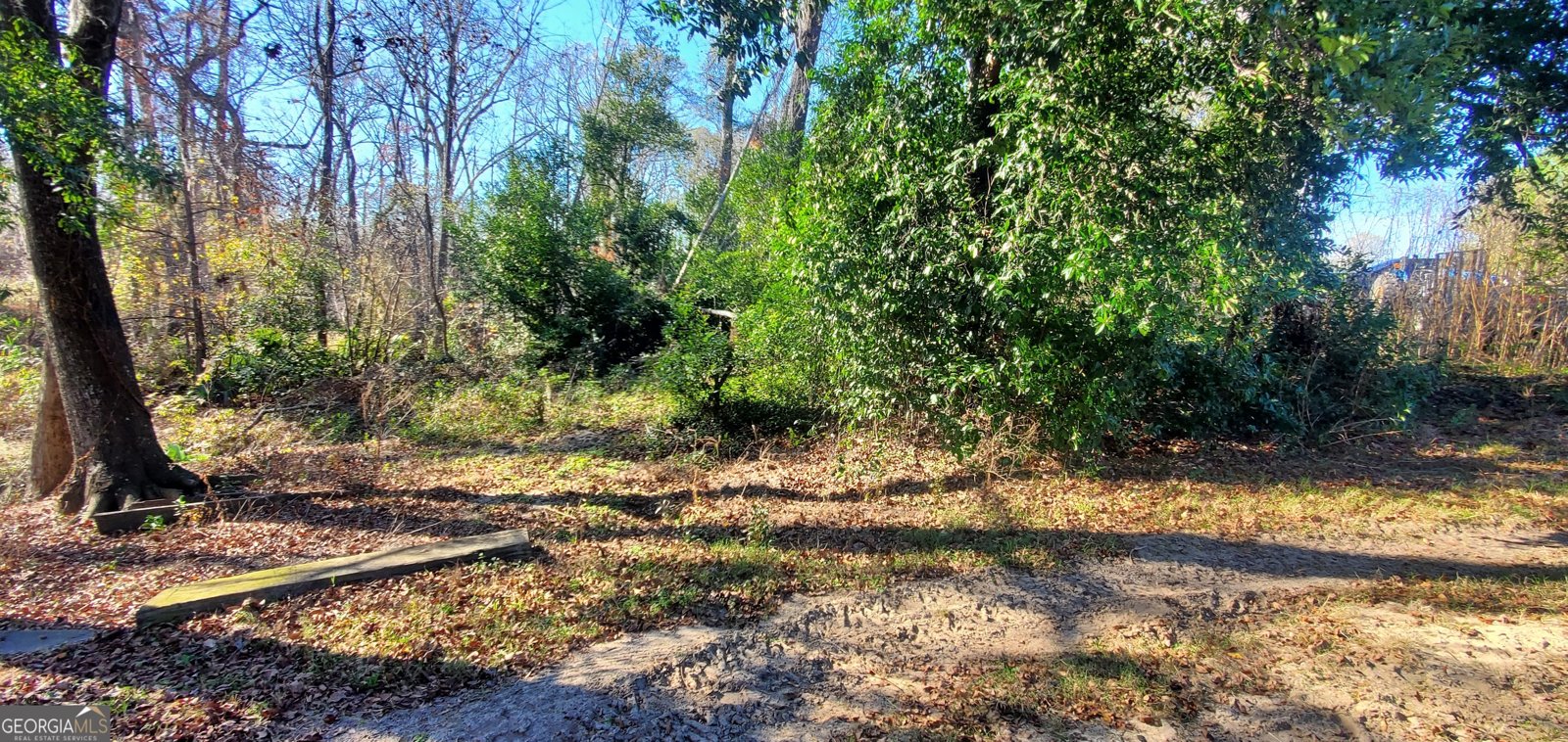 147 Brannen Landing Road Midville - 29